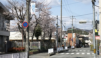 城乾
